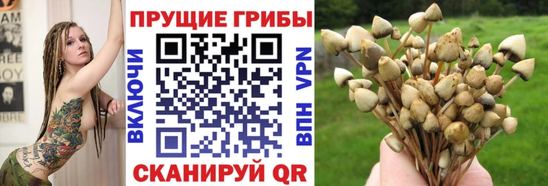 omg tor  Чухлома  Галлюциногенные грибы мухоморы 