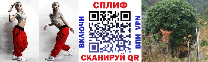 Бошки Шишки VHQ  даркнет наркотические препараты  Чухлома  наркотики 